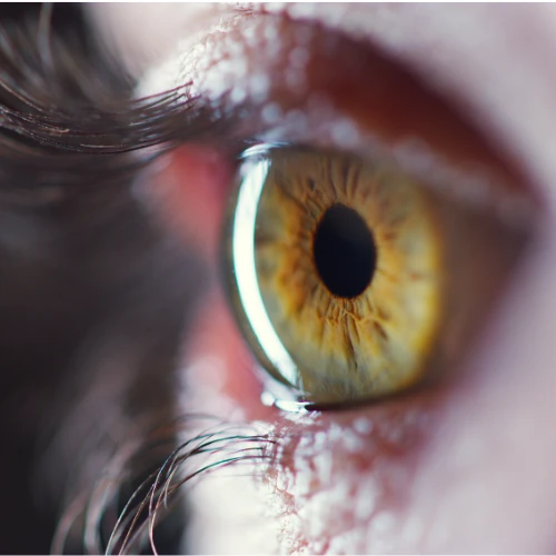 Gros plan sur un regard