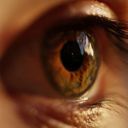 Regard en gros plan, éclairé par une lumière orangée