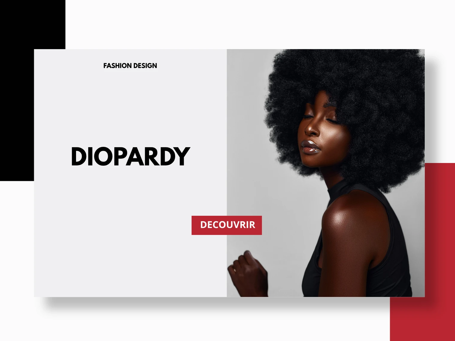 DIOPARDY : maison de mode, aperçu de la marque
